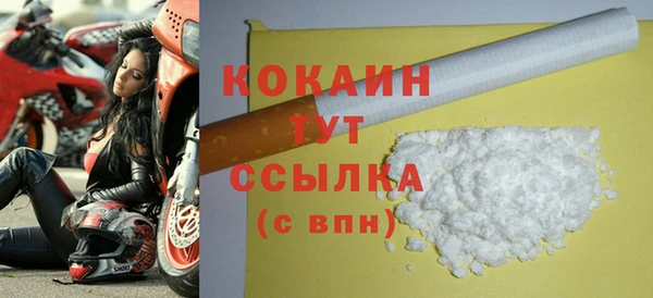 spice Сясьстрой