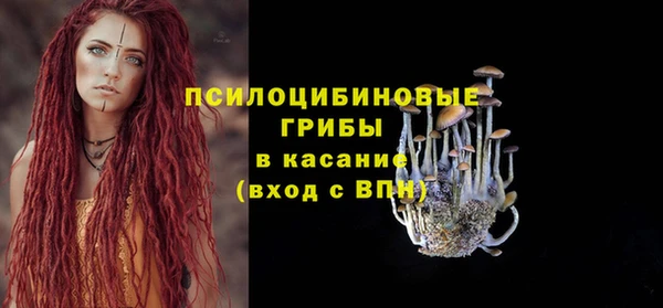 ГАЛЛЮЦИНОГЕННЫЕ ГРИБЫ Михайловка