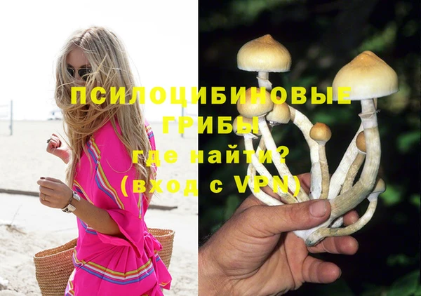 прущие крисы Михайловск