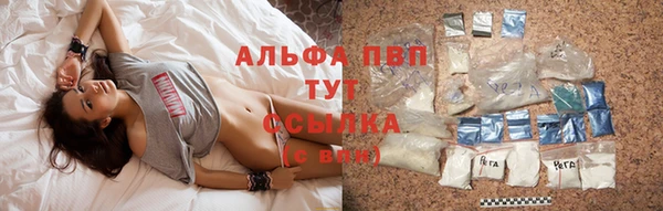 ГАЛЛЮЦИНОГЕННЫЕ ГРИБЫ Михайловка